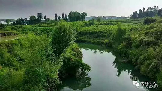 心路历程 |【7】雷雨(图1)